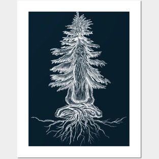 Sage of the silent pine (White Sketch) Posters and Art